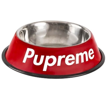 E-Comm: Just 21 Cute Things to Celebrate National Puppy Day